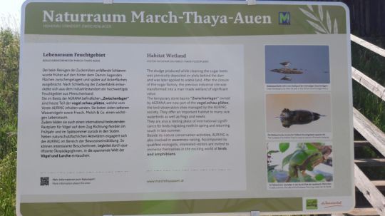 Wanderung in den March-Thaya-Auen am 24. Mai 2019