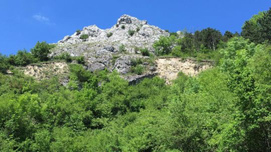 Wanderung Braunsberg am 24. Mai 2019