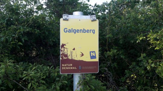Wanderung Galgenberg am 24. Mai 2019