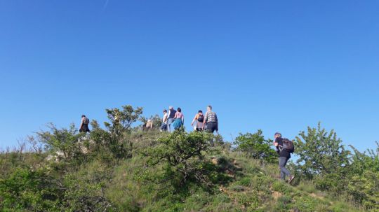 Wanderung Galgenberg am 24. Mai 2019