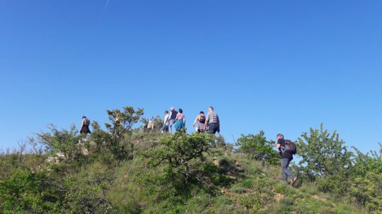 Wanderung Galgenberg am 24. Mai 2019