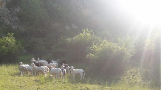 Wanderung Galgenberg am 24. Mai 2019