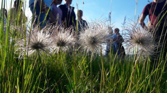 Wanderung Galgenberg am 24. Mai 2019