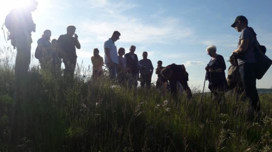 Wanderung Galgenberg am 24. Mai 2019