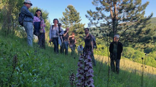 Wanderung Klosterneuburg am 24. Mai 2019