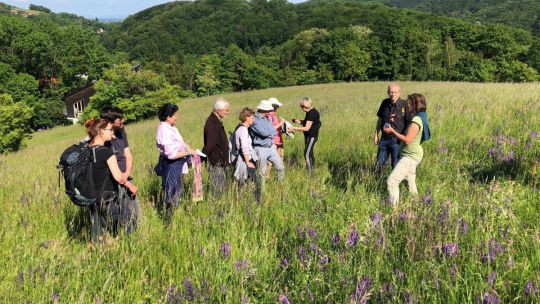 Wanderung Klosterneuburg am 24. Mai 2019