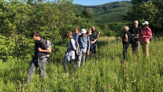 Wanderung Klosterneuburg am 24. Mai 2019