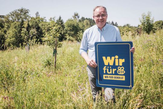 Wir für Bienen
