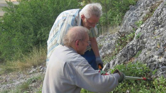 Pflegeeinsatz in Staatz