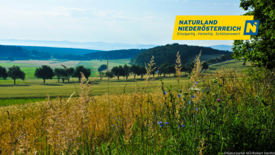 Hügelige Landschaft