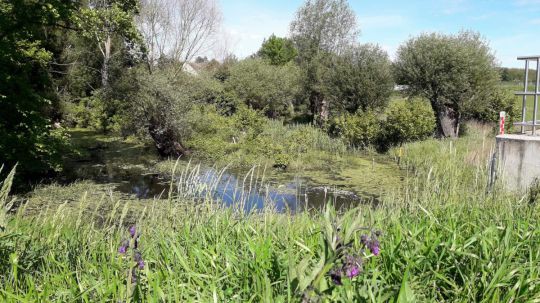 Wanderungen zu den NÖ Naturschätzen 2021 - Rabensburg