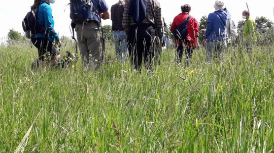 Wanderungen zu den NÖ Naturschätzen 2021 - Rabensburg