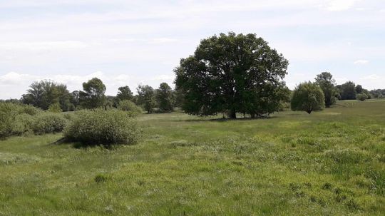 Wanderungen zu den NÖ Naturschätzen 2021 - Rabensburg