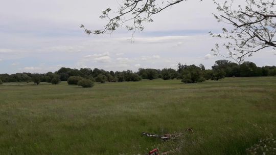 Wanderungen zu den NÖ Naturschätzen 2021 - Rabensburg