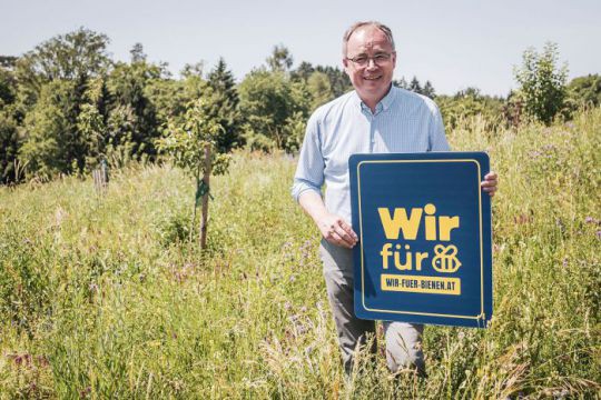 LH-Stv. Stephan Pernkopf steht auf einer artenreichen Wiese