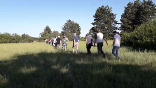weikendorfwanderung190522_cmk004