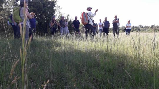 weikendorfwanderung190522_cmk006