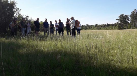 weikendorfwanderung190522_cmk007