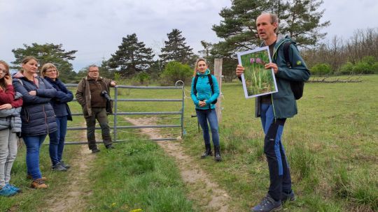 Orchideen-Monitoring in Obersiebenbrunn