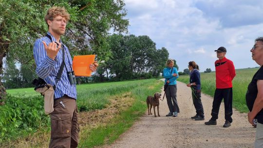 Mann in blauem Hemd erklärt einer Gruppe etwas