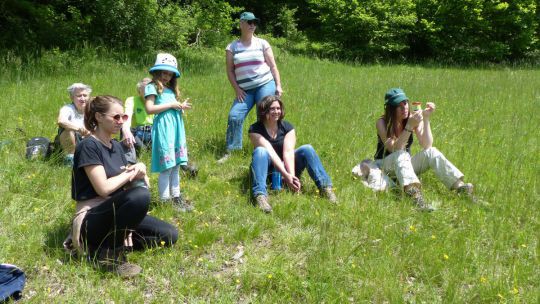 Menschen sitzen in einer Wiese in der Sonne