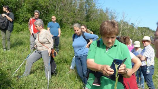Gruppe von Wanderern, eine Frau mit grünem Shirt fotogradiert eine Pflanze