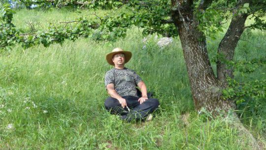 ein Mann sitzt unter einem Baum auf der Wiese