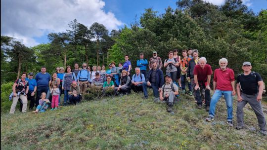 Gruppe von Menschen auf einem kleine Hügel, im Hintergrund ist Wald