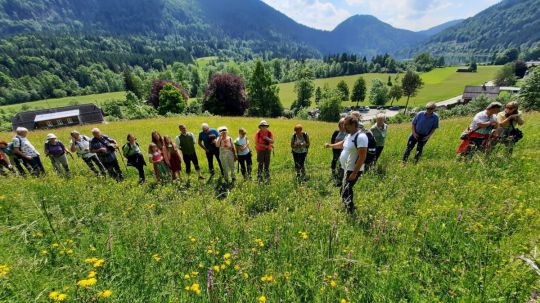 Gruppe von Menschen auf einer blühenden Wiese, im Hintergrund einige Bäume und bewaldete Berge