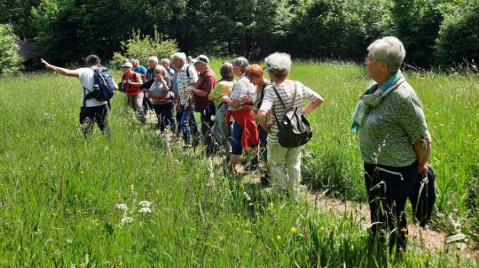 Menschen auf einer Wiese, ein Mann deutet mit der linken Hand in die Ferne