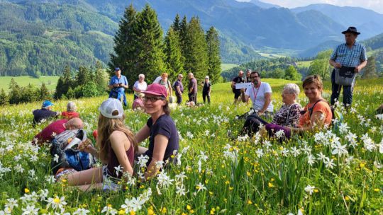 Menschen sitzen in einer Wiese mit blühenden Narzissen, dahinter eine Baumgruppe und am Horizont Berge.