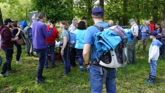 Gruppe von Menschen stehen auf einer Waldlichtung