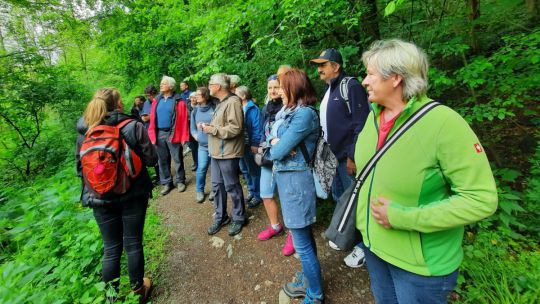 Menschen stehen in einem Wald, eine Person erklärt der Gruppe etwas