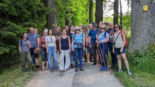 Exkursionsteilnehmer stehen auf einem Weg im Wald