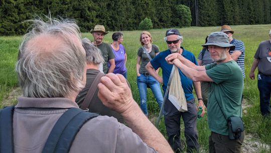 eine Person erklärt einer Gruppe von Menschen etwas, im Hintergrund ist Wald zu sehen