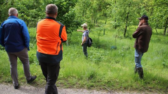 Menschen stehen am Rand einer Straße und blicken in eine Waldgruppe