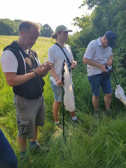 Menschen stehen an einer Hecke mit Schmetterlingsnetzen und beobachten Tiere in einem Glasröhrchen