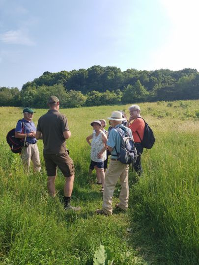 Gruppe von Personen auf einer Wiese, im Hintergrund ist ein Wald zu sehen