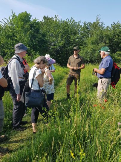 Gruppe von Personen auf einer Waldlichtung, umgeben von Gras und Blüten, jemand erklärt etwas