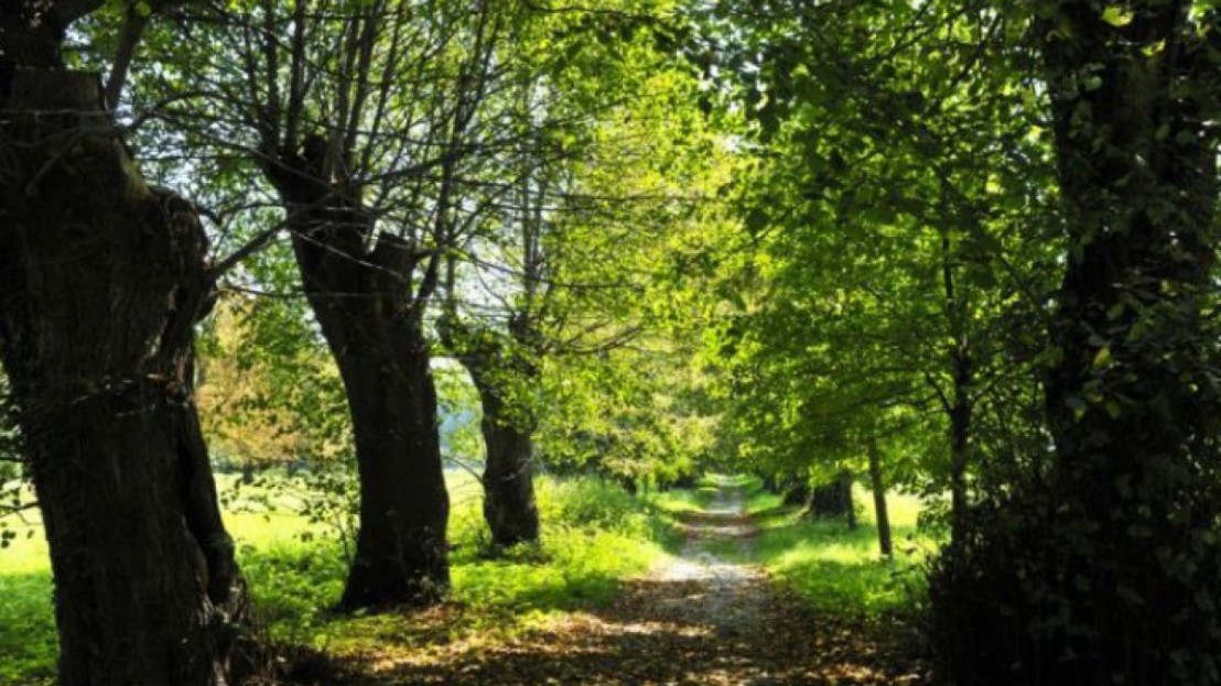 mannersdorfer_wueste