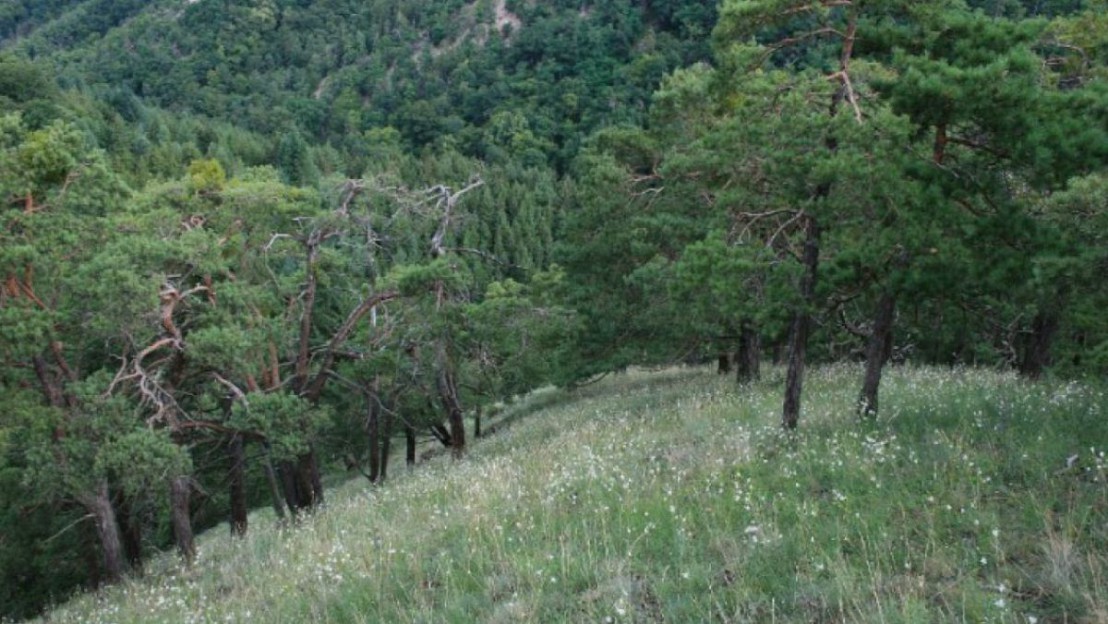 Gurhofgraben_NSauberer