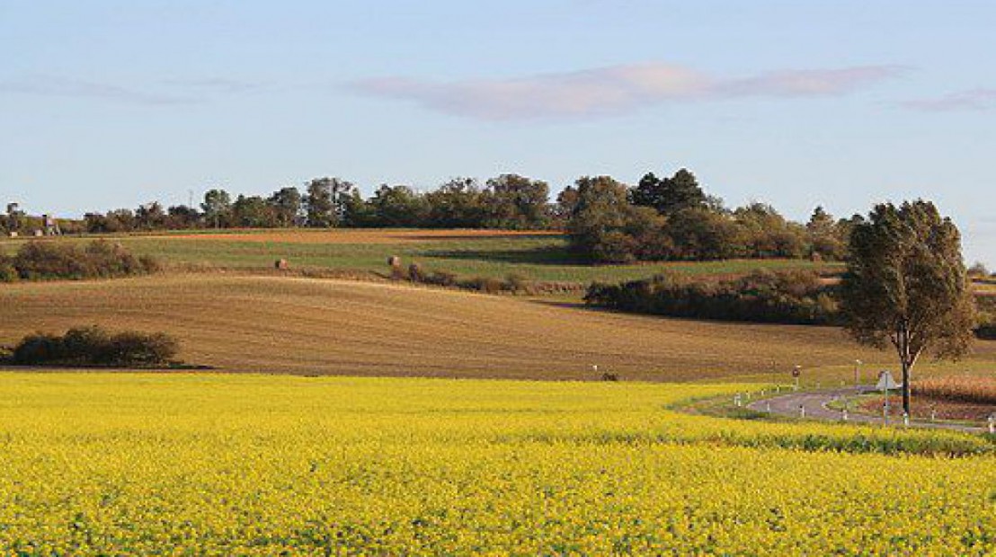 Der Goldberg liegt im zentralen Wiener Becken und ragt deutlich aus der Ebene zwischen Fischa und Leitha heraus.