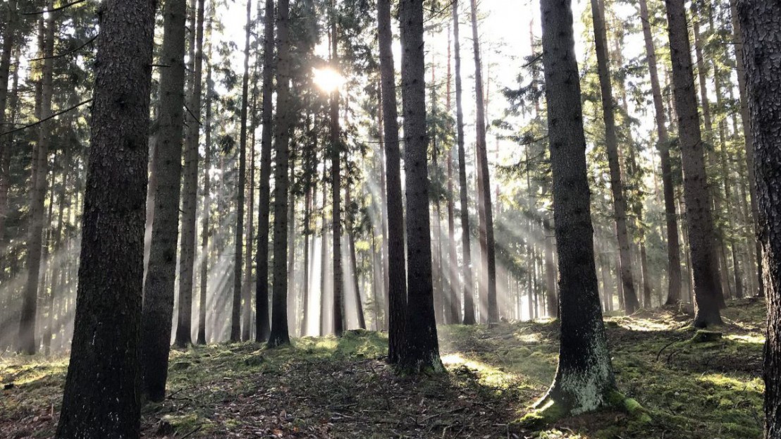 Landschaftsschutzgebiet