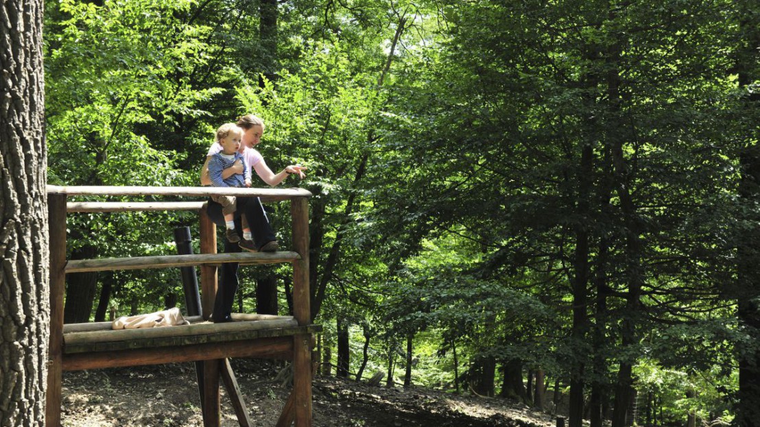 Naturpark Purkersdorf Sandstein- Wienerwald