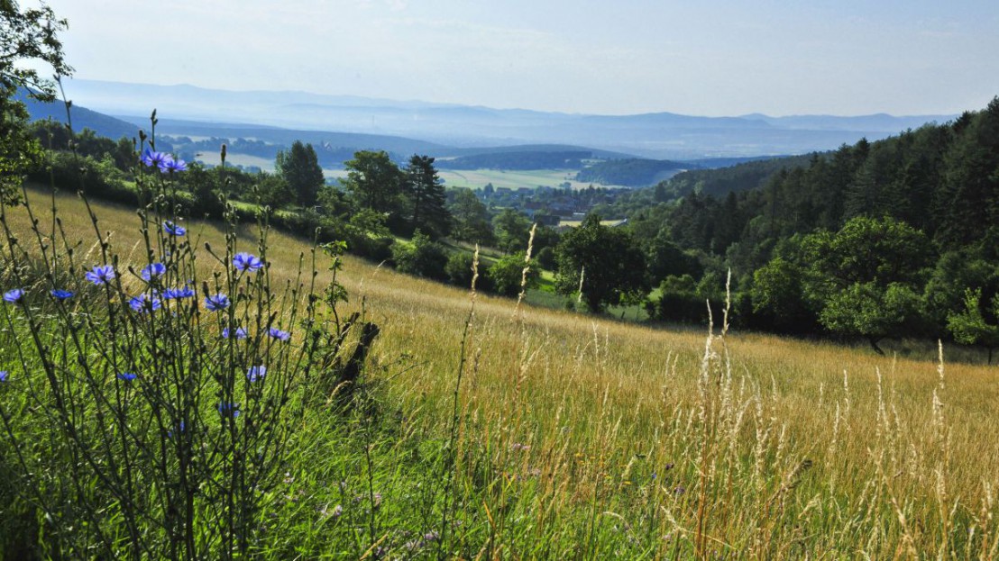 Naturpark Sierningtal-Flatzer Wand