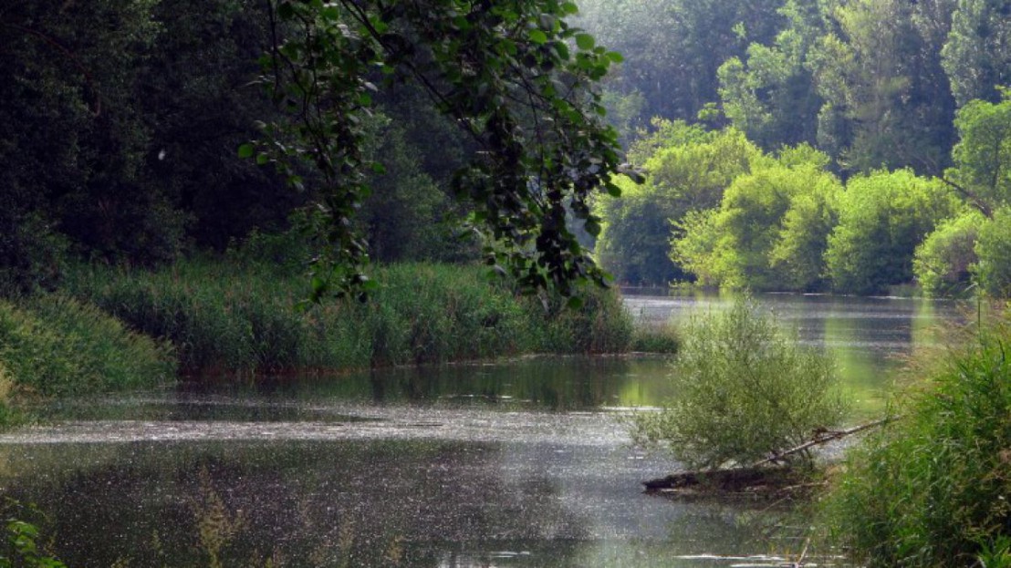 3595_seitenarm2_kern