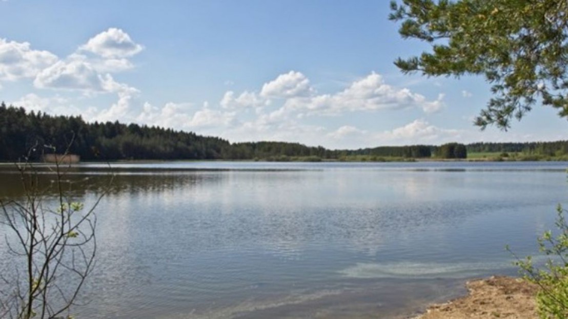 Bruneiteich_bei_Altmanns