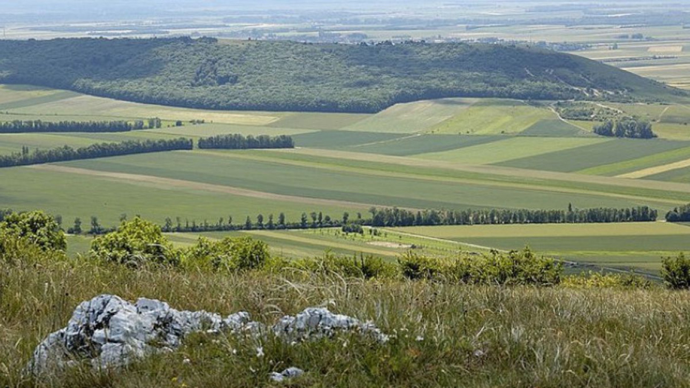 Der Spitzerberg ist im Industrieviertel zu finden.