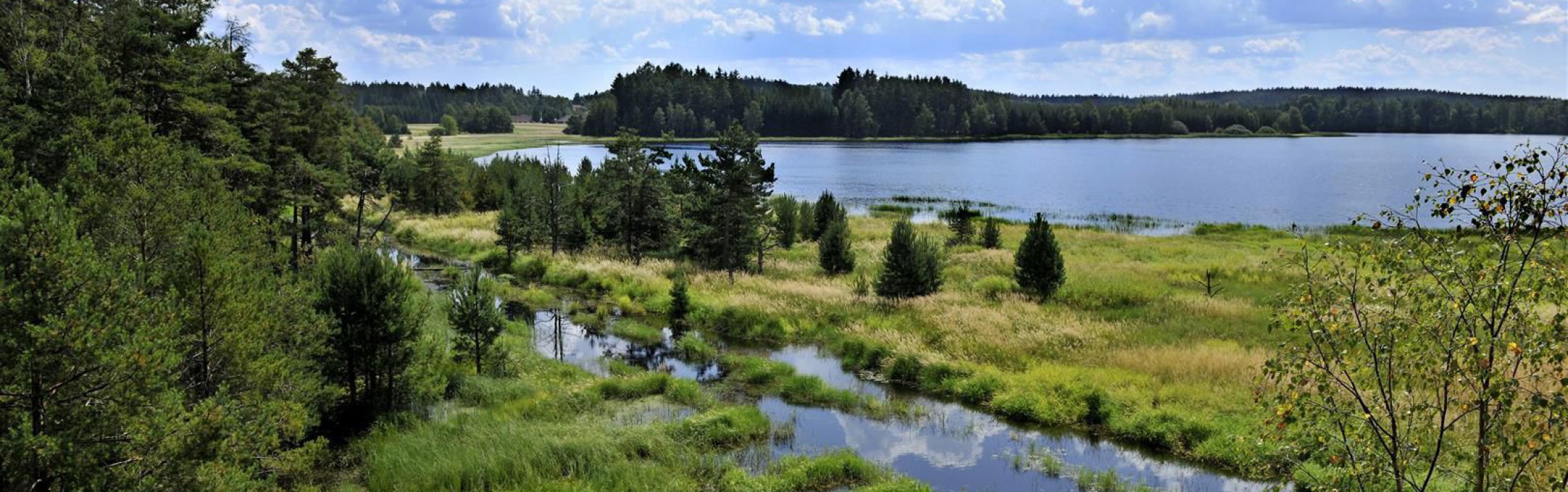 Blick in den Naturpark Heidenreichsteiner Moor