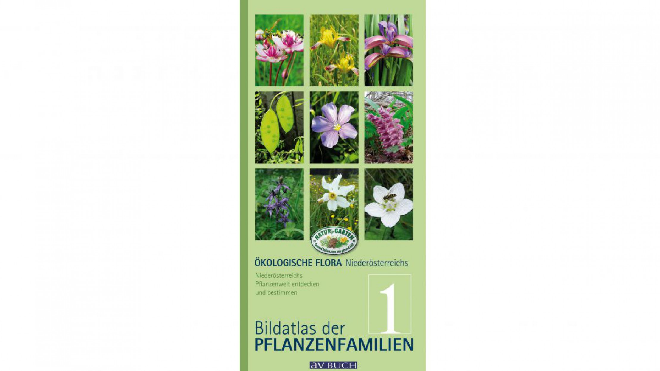 Die Buchreihe zum Bestimmen heimischer Pflanzen besteht aus 4 B&auml;nden.